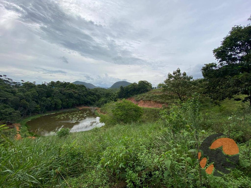 Imagem 3 de 8 de Chácara À Venda, 10000 M² Em Guarapari - Es. - Ch0014