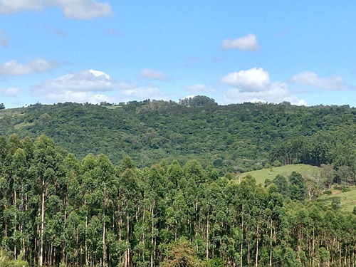 Chácara 10.000 M² - Maracanã - Glorinha - Rs - 2015 - 33422751