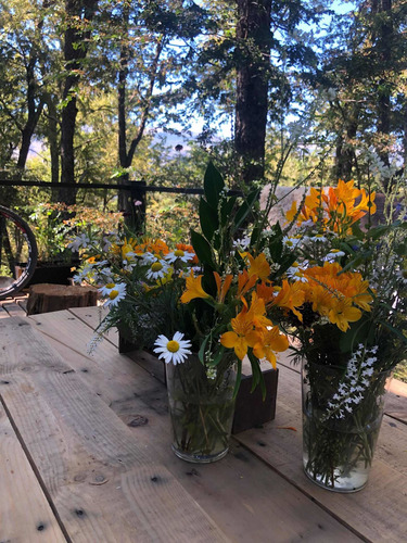 Imagen 4 de 12 de Tinny House;en Bosque De Robles;cómoda Y De Gran Belleza