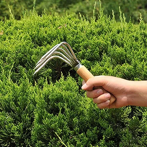1 Pieza De Rastrillo Pequeño De Jardín De 5 Dientes