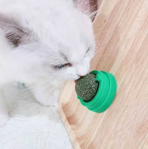 Imagen 5 de 10 de Bola De Catnip Merienda Para Gatos Hierba Gatera Licking Cs