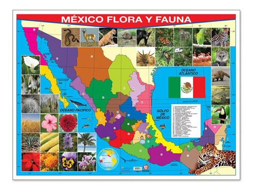 Poster Mexico Flora Y Fauna Educatodo