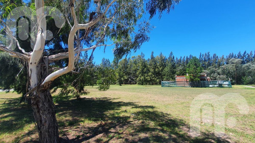 Imagen 5 de 5 de Venta Lote Club Miralagos