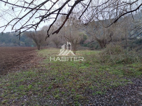 Imagen 8 de 30 de Sitio En Venta En Teno