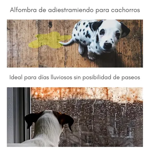 Baño Ecológico Sanitario Mascotas Talla M