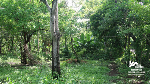 Imagen 9 de 11 de Vendo Finca En Remate En Masaya