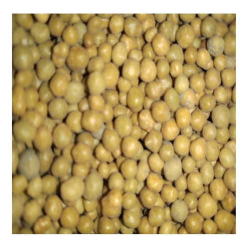 Fertilizante Osmocote Plus 15-09-12 (8m) 2kg