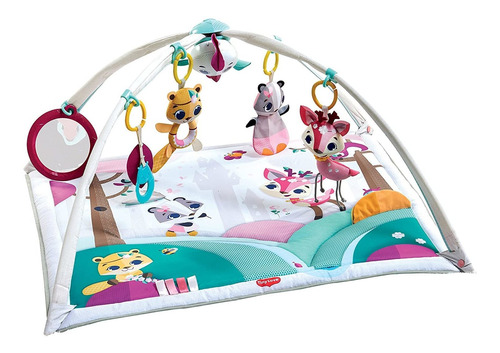 Gymini Deluxe Infant Activity Gym Play Mat, Tiny Prince...