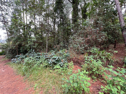 Terreno Rincón Jaímes