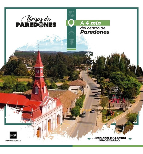 Imagen 8 de 9 de Campo Con Parcelas Con Arboles Nativos Y Pinos