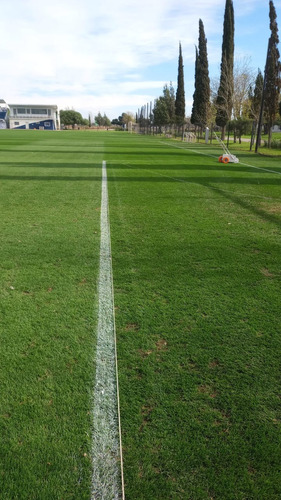 Maquina Demarcación Canchas Líneas Deportivas Futbol