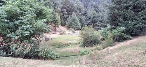 4.2 Hectáreas Con Manantial A 40 Minutos De Valle