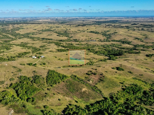 Campo 180 Hás Rincón De José Ignacio
