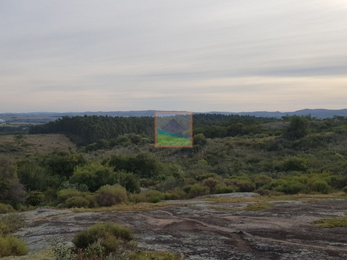 Imagen 14 de 14 de Chacra 10 Hás En Garzón