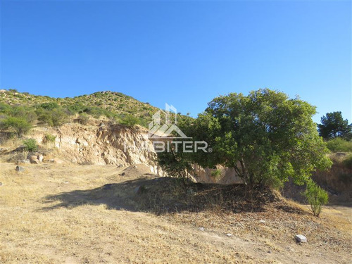 Imagen 23 de 24 de Agrícola En Venta En Maule