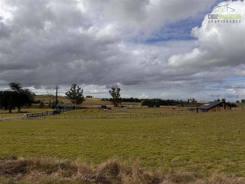 Local Comercial En Arriendo En Puerto Varas
