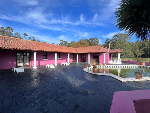Imagen 4 de 14 de Venta Campo 115 Hectareas Ganadero Con Casco 700 Mts