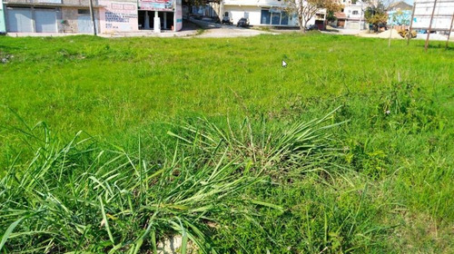 Imagem 4 de 15 de Terreno Para Venda Em Rio De Janeiro, Campo Grande - L180_2-604122