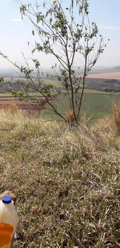 Chácara À Venda, 20.000 M² Ribeirão Preto/sp - Ch0053