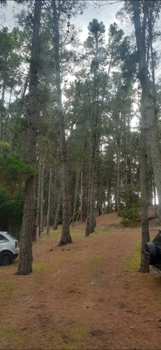 Imagen 10 de 16 de Monoambiente Rodeado De Bosque Muy Cómodo Y Excelente Precio