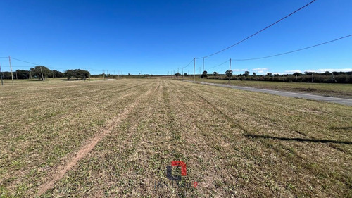 Lote En Docta Central