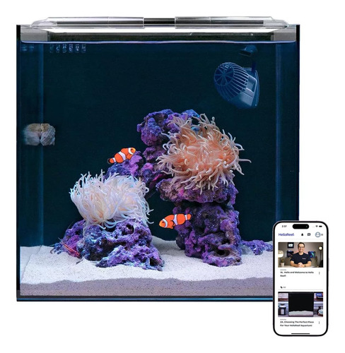 Kit Acuario Agua Salada Pez Payaso 15 Galones Led Inteligent Negro (clear & Black)