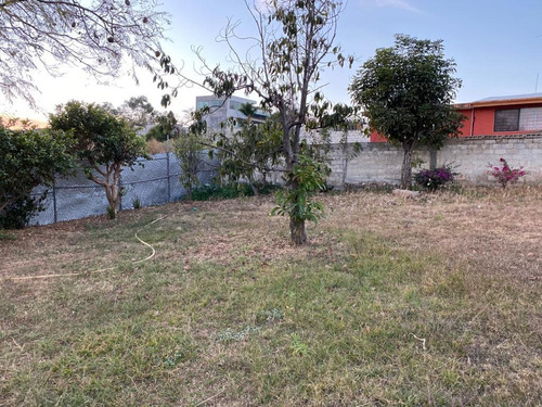 Imagen 3 de 6 de Venta De Terreno En El Norte De Cuernavaca...clave 3408