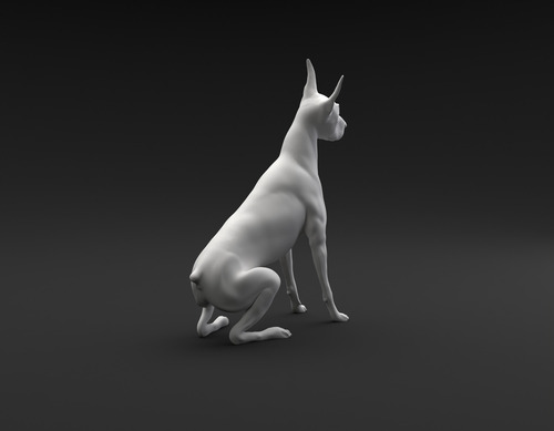 Imagen 4 de 4 de Doberman Pinscher Sentado E Inclinando L- Figura Plastica
