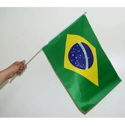 Kit 6 Bandeiras Do Brasil Média Com Haste De Mão