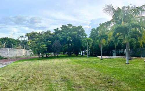 Terreno En Venta Con Alberca En Chiconcuac, Xochitepec Morelos