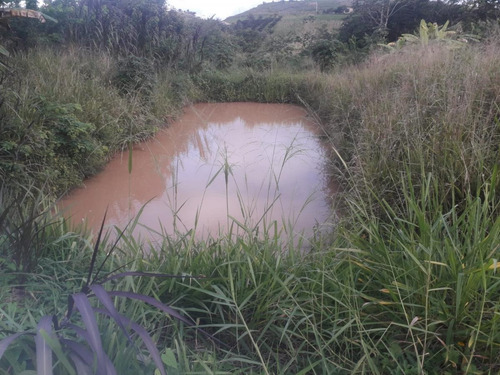 Imagem 7 de 14 de Sítio / Chácara Para Venda Em Flexeiras, Zona Rural - In - 0014_1-1691481