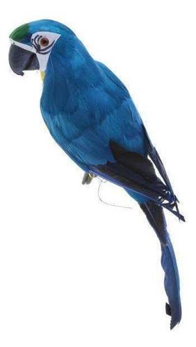 Muyier 2x Parrot Macaw Cerca Jardín Cerca Taburete Y Cerca