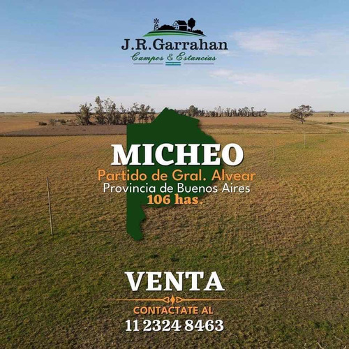 Campo 106 Has Con Mejoras - Micheo - Gral. Alvear //vendemos