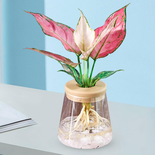 Florero Maceta En Maceta Para Centro De Mesa Escritorio