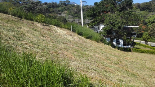 Imagen 7 de 8 de Propiedad En Grecia - Naranjo 500 Metros.