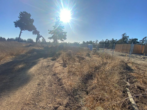 Se Vende Parcela De 1ha En El Sector Malvilla, San Antonio
