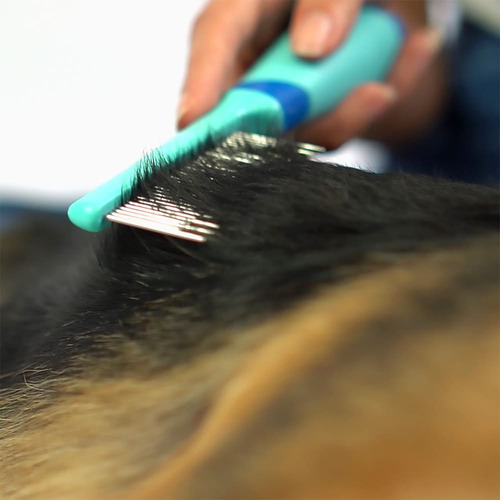 Mimo Pp345 Pente Blue Para Pets Cor Azul
