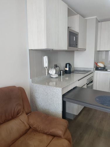 Amoblado O Semi, Arriendo Hermoso Y Cómodo Depto, Est. Bodg