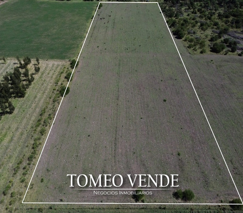 Tomeo Vende Chacras Financiadas 3,5 Hectáreas En El Colorado
