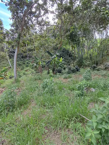 Finca En Restrepo Valle