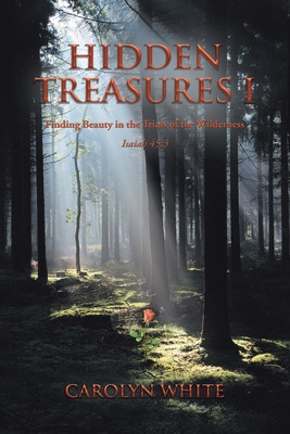 Libro Hidden Treasures I: Finding Beauty In The Trials Of...