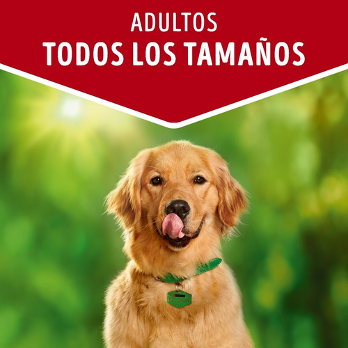 Imagen 5 de 10 de Pack Dog Chow® Adulto Carne 100g