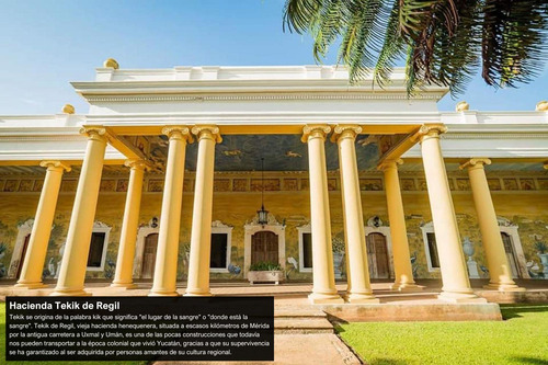 Terreno En Timucuy, Yucatán: 10 Hectáreas Con Potencial De Plusvalía Y Desarrollo