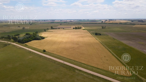 Campo En Venta San Antonio De Areco 19ha Con Casa Ppal Y Secundaria