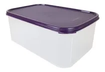 Comprar Tupper® Modular Rectangular 4,3lt Tupperware® Libre De Bpa
