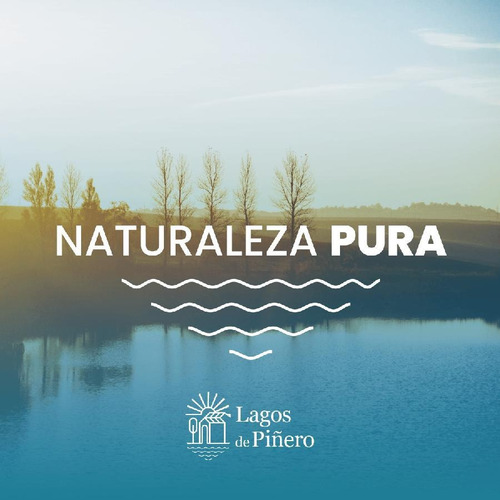 Imagen 4 de 6 de Terreno - Piñero