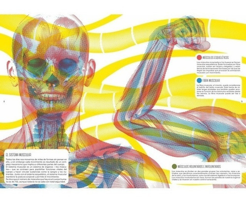 Imagen 3 de 5 de Libro Con Lentes Magico El Cuerpo Humano Visor Manolito Edu