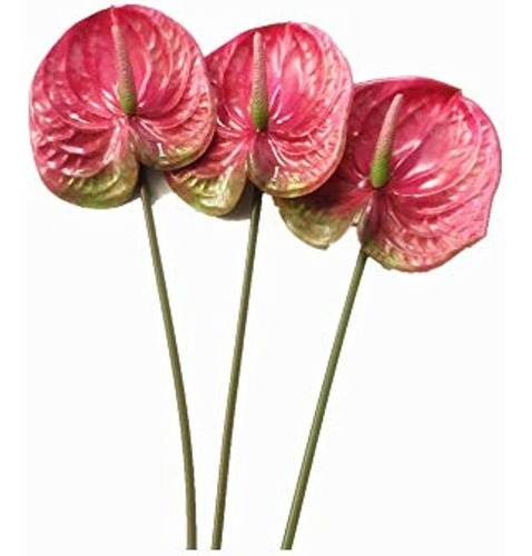 3 Piezas De 27  Flores Artificiales De Lirio De Anthurium Pa