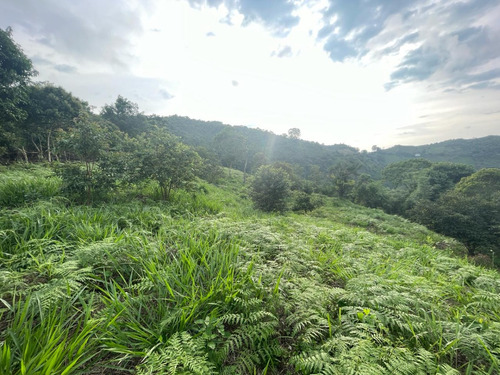 Lote Villeta, La Peña Cundinamarca, Quebrada Honda