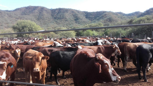 Venta Campo 3200 Hectareas Santiago Del Estero